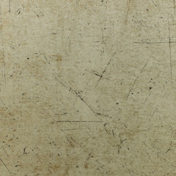 Film-laminated metal composite panel