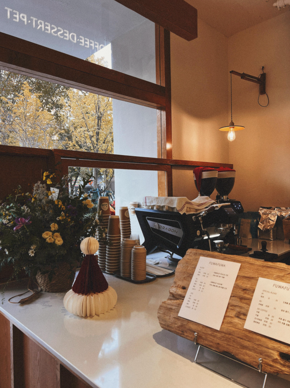 汉阳FUWA绒屋宠物咖啡店