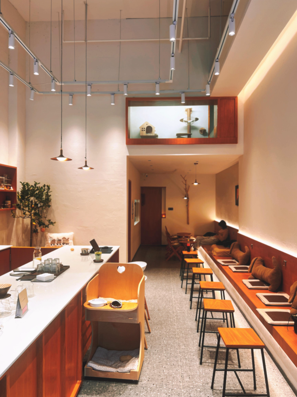 汉阳FUWA绒屋宠物咖啡店