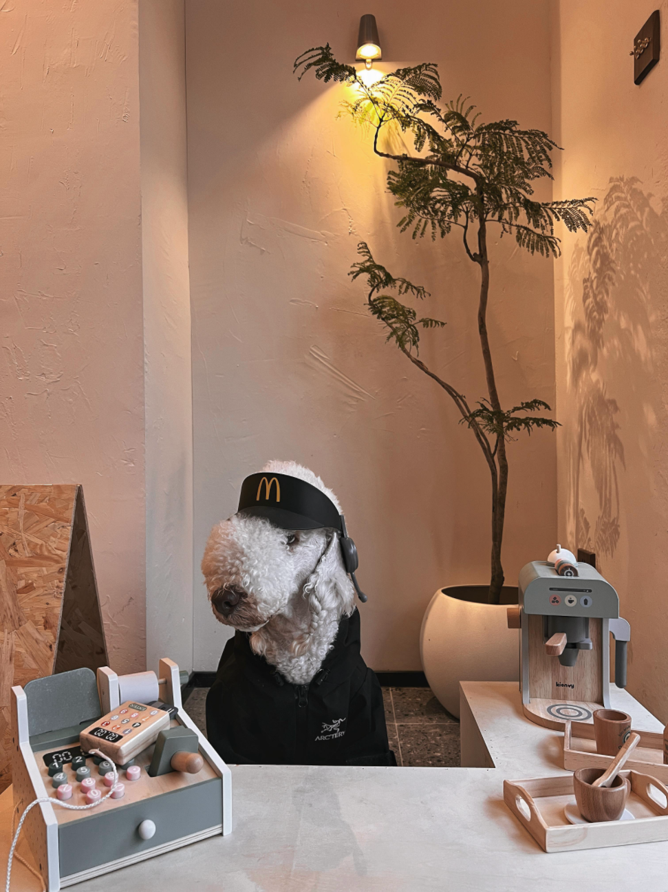 汉阳FUWA绒屋宠物咖啡店