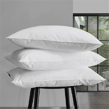 down pillow 羽绒枕