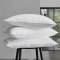 down pillow 羽绒枕