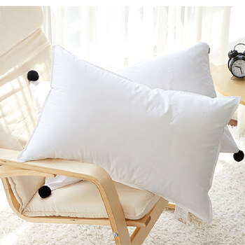 down pillow 羽绒枕
