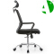 AS-C2304J Flexible Wholesale Quantity Versatile Plastic Chairs in Wholesale for Outdoor and Indoor Spaces