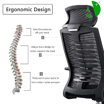 AS-C2784 Modern Versatile Swivel Dining Chair for Home and Office