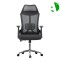 AS-C2744 High-Quality Cheap Ergonomic Revolving Office Chair with Adjustable Height and Lumbar Support