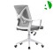 AS-B2855WH Flexible Wholesale Quantity Modern Plastic Boss Chair - Comfortable Design for Home and Office