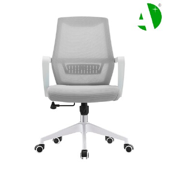 AS-B2776WH Factory Direct Sale Elegant Beauty Chair From Foshan - Affordable Furniture Market Price