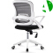 AS-B2780WH Factory Direct Sale Stylish Modern Office Furniture Chair for Contemporary Living Spaces