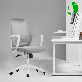AS-B2776WH Factory Direct Sale Elegant Beauty Chair From Foshan - Affordable Furniture Market Price