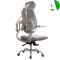 AS-C2719WH Customizable Adjustable Ergonomic Office Chair with Lumbar Support and Style