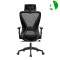 AS-C2781 Factory Direct Sale Stylish Office Boss Chair with Adjustable Features for Productivity