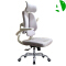 AS-C2719WH Customizable Adjustable Ergonomic Office Chair with Lumbar Support and Style