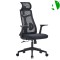 AS-C2117 Fast Delivery Ergonomic Office Chair for Home and Workspace Comfort