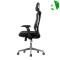 AS-C2779 Factory Direct Sale Stylish Ergonomic Office Chair with Adjustable Features for Comfort