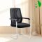 AS-D2847 Stylish Mesh Visitor Office Chair for Executives - Adjustable and Durable