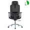 AS-C2170 Fast Delivery Ergonomic Office Chair for Home and Workspace Comfort