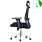 AS-C2875L Factory Price Ergonomic Computer Chair for Office with Foshan Furniture Parts