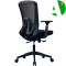 AS-B2124 Multifunctional Cheap Adjustable Ergonomic Office Chair with Lumbar Support and Armrests