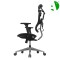 AS-C2711 Factory Direct Sale Ergonomic Mesh Office Chair with Adjustable Features for Comfort