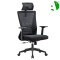 AS-C2848 Foshan Factory Modern Ergonomic Swivel Office Chair with Mesh Back Support