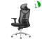 AS-C2785 Factory Direct Sale Stylish Plastic Chair for Modern Home Decor and Comfort