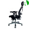 AS-C2820A Foshan Factory Adjustable High Back Office Chair with Lumbar Support and Style