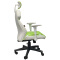 AS-C2414WHM Factory Price Stylish High Back Gamer Chair for Enhanced Gaming Experience