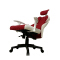 AS-C2414WHM Factory Price Stylish High Back Gamer Chair for Enhanced Gaming Experience