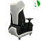 AS-D2491A Customizable Modern Gaming Sofa with Adjustable Recline and Storage