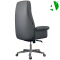 AS-B2726C Stylish Executive Office Chair with Adjustable Features and Design