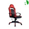 AS-C2803 Wholesale Price Stylish Lift Boss Gaming Chair for Ultimate Comfort and Support