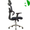 AS-C2291GY Ergonomic Office Chair with Adjustable Height and Lumbar Support