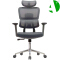 AS-C2291GY Ergonomic Office Chair with Adjustable Height and Lumbar Support