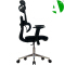 AS-C2291 Ergonomic Office Chair with Adjustable Height and Lumbar Support