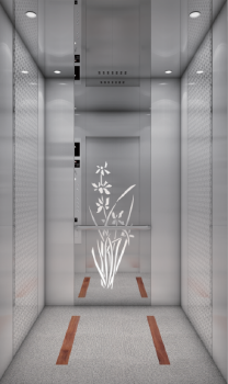 JFUJ P081 Passenger Elevator