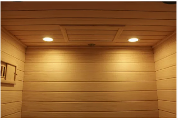 Waterproof Steam Room Two Person Wood Outdoor Sauna Room D002