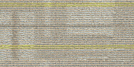 Shanghai Shunrui New Material Co., Ltd. 