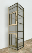 Intelligent Hydraulic Home Elevators