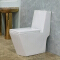 washdown one-piece toilet O-9020 