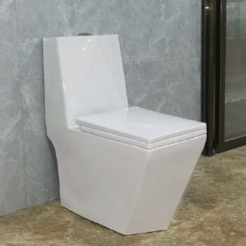 washdown one-piece toilet O-9020 