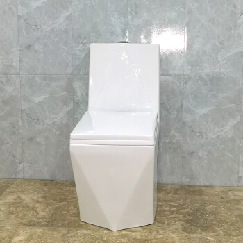 washdown one-piece toilet O-9020 