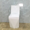 washdown one-piece toilet O-9020 