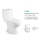 whashdown two-piece toilet T614