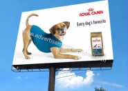 P10 Outdoor Advertising LED Displays , Tri color Large Led Message Board