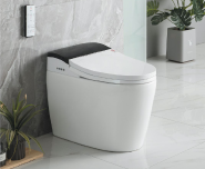 2067B Smart toilet