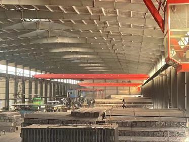 Tianjin Shengyuan Industrial Co., Ltd.