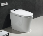 2101C Smart toilet