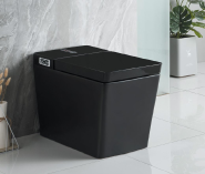 2062AK Smart toilet