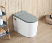 3001S Smart toilet